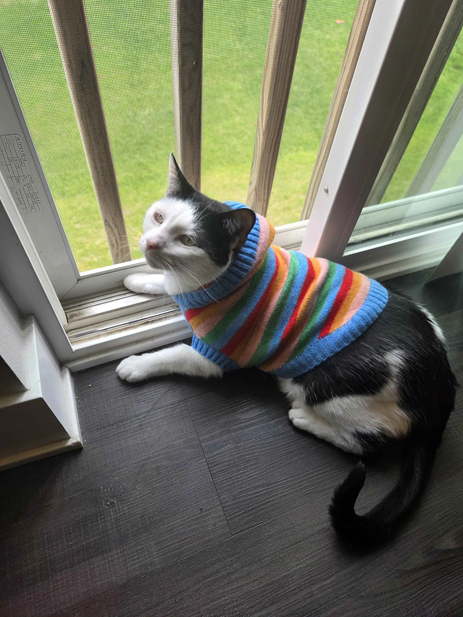 Toast in a Sweater